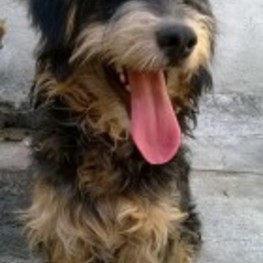 D c477b058 b3be 4a0d 88bd 38d7ff431979