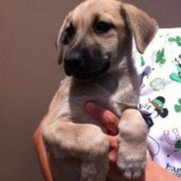 D 50123ef4 6978 498c b12a 56209071564f