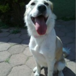 D 53a96be2 ca50 403d a35e 07bdbc2b4b1d