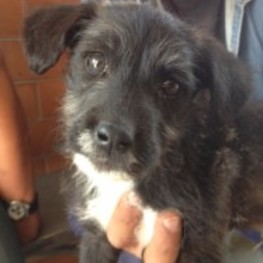 D b6e05721 bf89 4fa4 a1c1 2e4fc5817f43