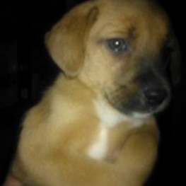 D 7d407843 33fb 4459 be36 6ea540578da4