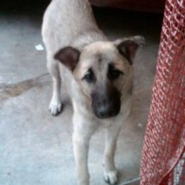 D 59815a39 f493 41f1 9413 64ee4e50191b