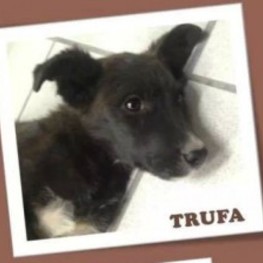 D de8f1dd3 44db 4e88 9b24 fa9468db5bb7