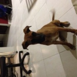 D 871acb87 2fe8 41eb 94df f6484b79f2fd