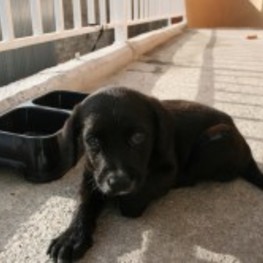 D 79a71420 0d46 4e53 8f78 cb5082a82b31