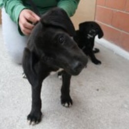 D 9f22629b 641f 4784 a791 8acaa643d0ec