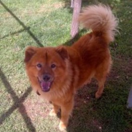 D f3822e48 81f1 400c 864c b5a481238d81