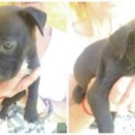 D 1c37eb5d 65bc 436a 87a8 6bbf003142f7