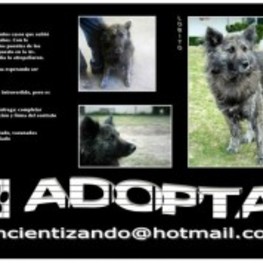 D de639573 6eca 43de 8ca5 4251c091e041