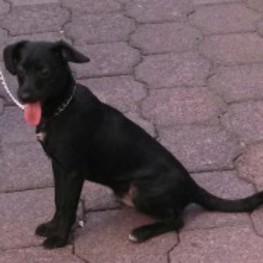 D 8075ca19 7e21 4031 9b84 1c54e24f4a32