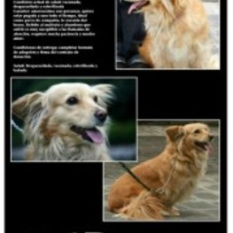 D 427ac06f 34f2 410e 87c1 cfbb814f3032