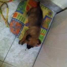 D d67b185b 436d 4f5b a5bd 79b0d8660d71