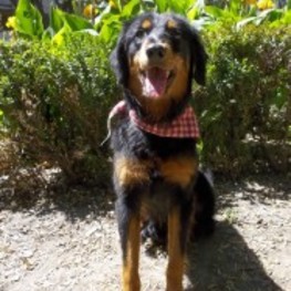 D 45fabdd9 eaa4 455d ba9e 8d5b1d49d5da