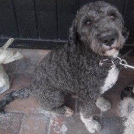 D 89374111 3a32 4da7 abeb 8394e005d90f