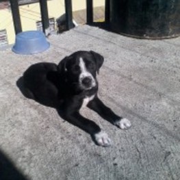 D 5d4e0ac1 e10e 4451 a01a 7c468c595d43