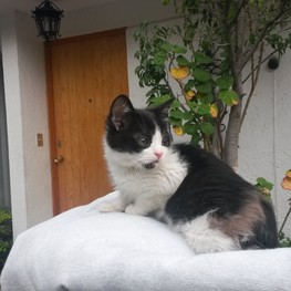 D 45d227df a898 4b7e a375 9ff0f0f63111