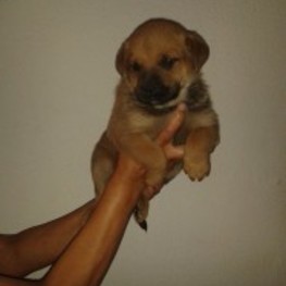 D b99faddb 18e2 489b 9e62 7cee47bfe18a