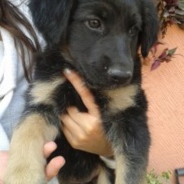 D 73a83804 ad42 4ccd 9f73 70930bc9ab46