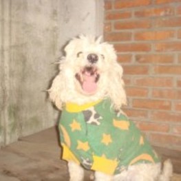 D b482f1cd 572a 4269 9d16 e2ca8451a792