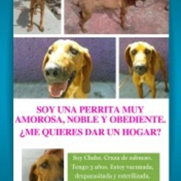 D 6945173d 1be9 44a2 a76a 5bd25199821d