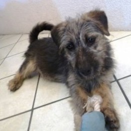 D b4ecafe8 1958 4051 859e c50f9eff45df