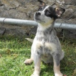 D 7f78874b 1339 41a1 8ded 328f3c6f5223