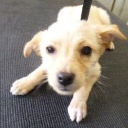 D 9f5774af 941d 4302 af46 9d6a952435c7