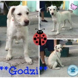 D b1bf38b9 364f 4b4a a839 6b32563e97da