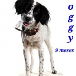 D 8ec7e252 1c30 47cc 9972 938dd6e3f34a