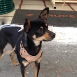 D 1cdbdce6 c190 49f2 9376 1e9439816df5