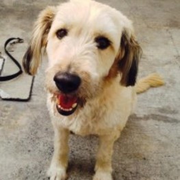 D a6088fed 8fbb 4d87 b16b b1129503241f