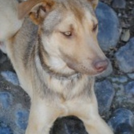 D 47fe8232 aa88 4eb0 af49 4a7c800b9f8d