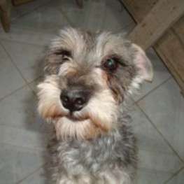 D 52678198 32eb 47c1 86dd 356d31a52ae8