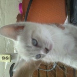 D 48621d0a 5ae0 4b6b 90ea d1ba237d0d14