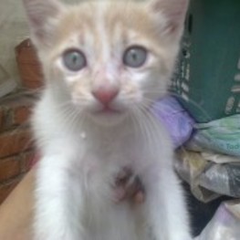 D 9afccbf4 c9fa 4fc7 9fc5 230dc8b95096