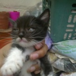 D a58a8f2e 2fbe 4ad7 a31e f47eef8e2ad6