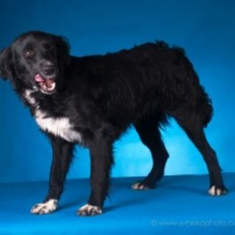 D 7ab10003 83ad 44cc 9c62 32f6f5c2c4d2