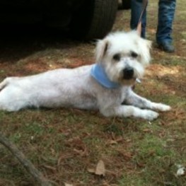 D b2987513 211b 4c2f 8633 6dae965cfd2d