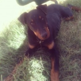 D dc1a6770 7469 40ed b0ea 58fe2ba50b8e