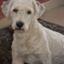 D aa8f5db5 f1a5 48c0 a6db 9872e72bd27a