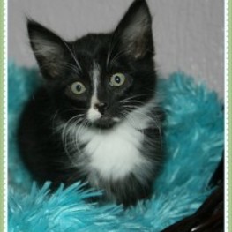 D d34b42e4 5845 4278 a8fa 921c5b71b958