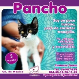 D f974e0ee 3430 45e4 a826 9a918613abc1