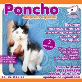 D 4ff9689c 2d47 4e8d b718 30bac36bd8db