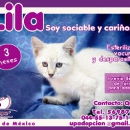 D 84d479a7 7a6e 43f2 906e 138574d58db6