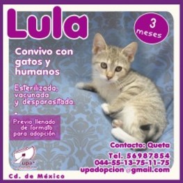 D a8b51b88 64da 407b 9011 8a5631b5ea92