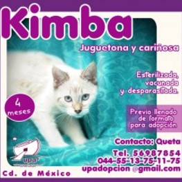 D 8e94a10d cc54 42a9 93d0 b7aa7d40e7b4