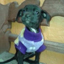 D 033ab40d c2ee 41dc abff a61128053e3c