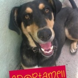 D 0a2e513f 82b1 426d b9b2 51a183d8e700