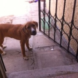 D 9e60278f a32e 419e aa87 161000bcc19f