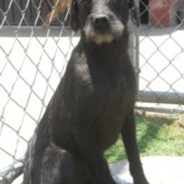 D 603c6ee9 6caf 4ad4 b6f0 c82e7e4fa004